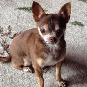 Meet your Posher, Cynthia